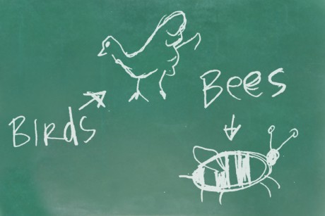 6 Things They Didn’t Teach You in Sex Ed