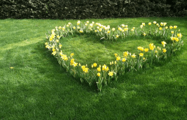 heart garden