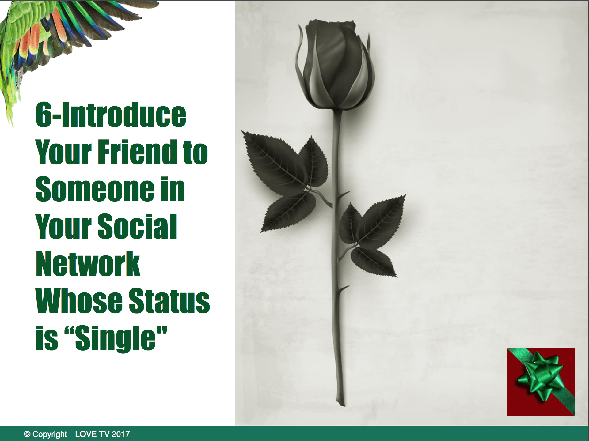 single friends social network